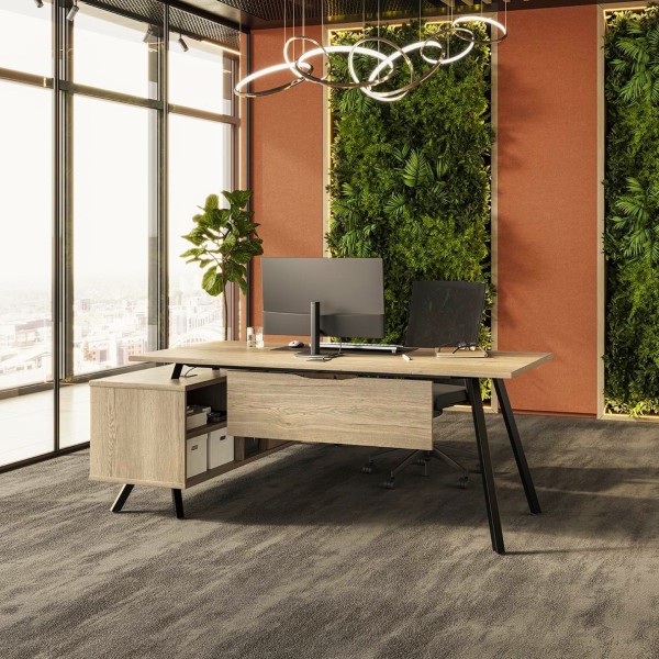 Brava Exec desk with Brava meeting table mod panel Cropped